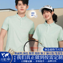 2025�¿����175g���з�ɹPOLO������logoӡ�ֻ�ۻ�