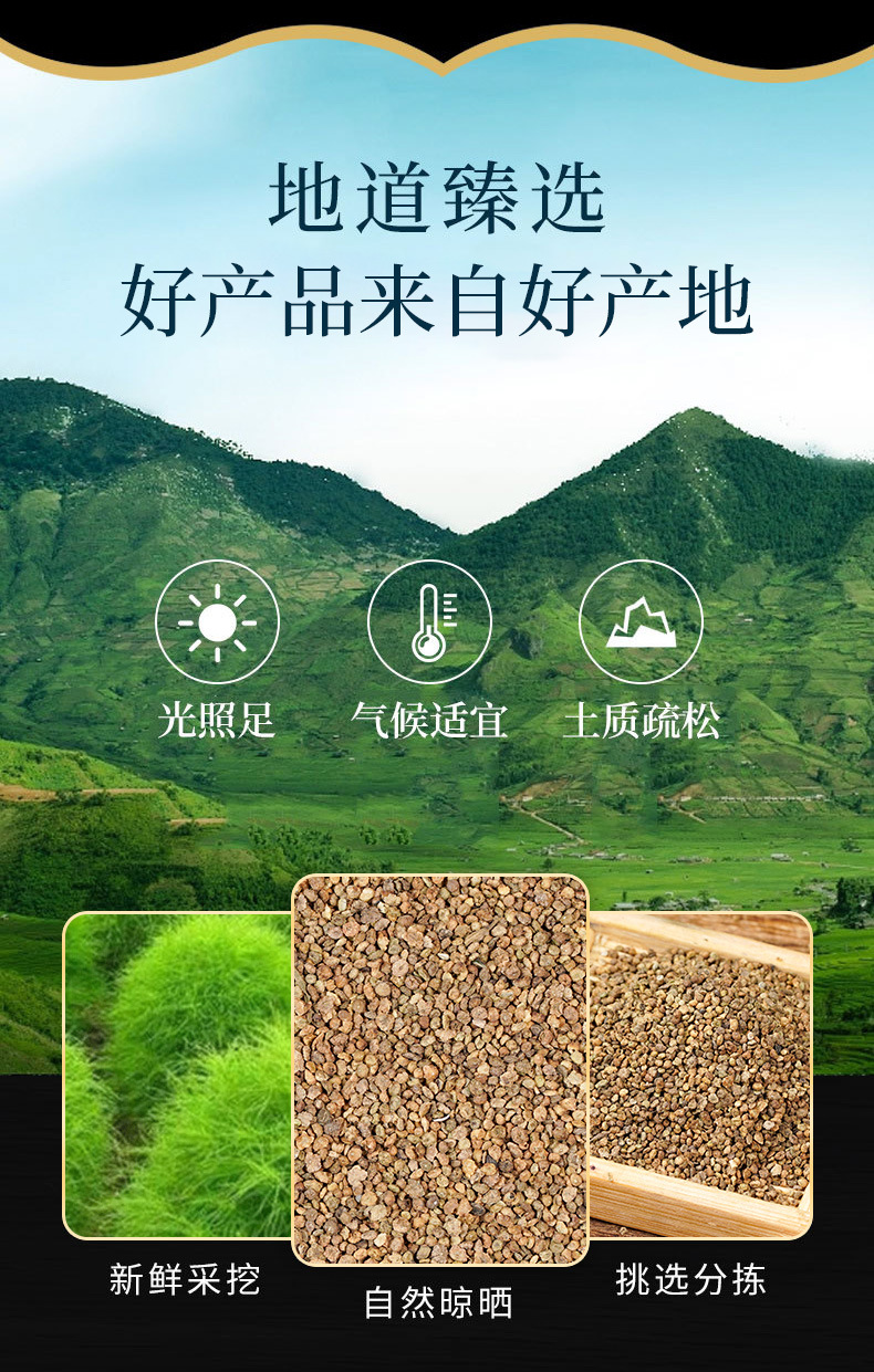 Di Fu Zi (Kochia scoparia Fruit) — Dried Food Herb, 500g, Custom Grinding Available overview