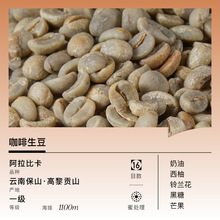 云南蜜处理咖啡生豆16目  阿拉比卡生豆原料 高黎贡山精品咖啡豆