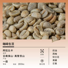 咖啡豆;咖啡生豆;配套器具