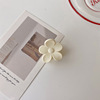 Crab pin, hairgrip, bangs, small hair accessory, ponytail, Korean style, wide color palette, simple and elegant design