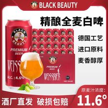 黑美人白啤酒500ml*12听罐选啤酒精酿整箱包邮精酿啤酒包邮