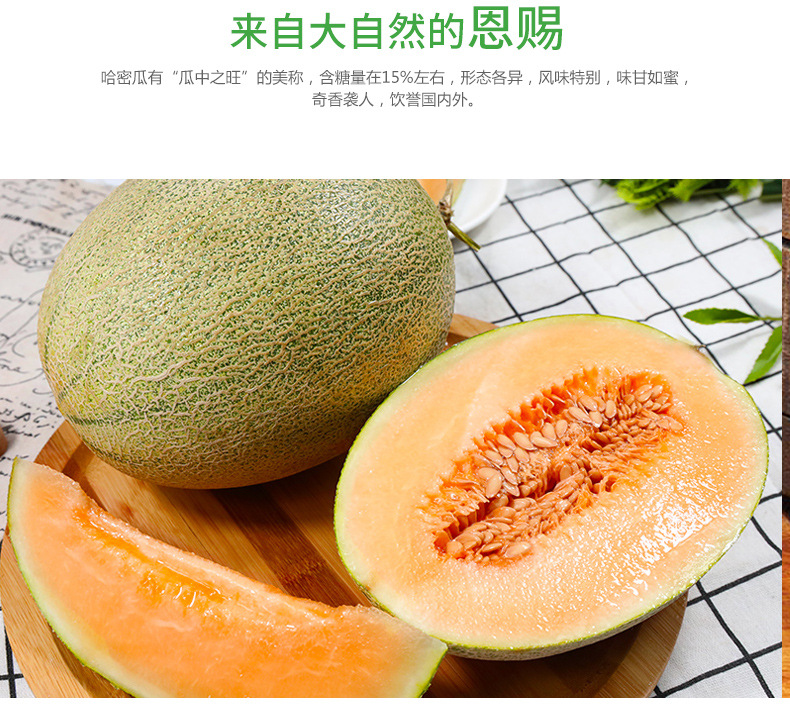 哈密瓜2_05.jpg