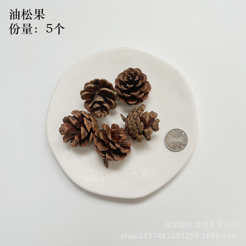 【各种果实类干花】圣诞果实类装饰品干花干果香薰蜡烛DIY橡果精|undefined
