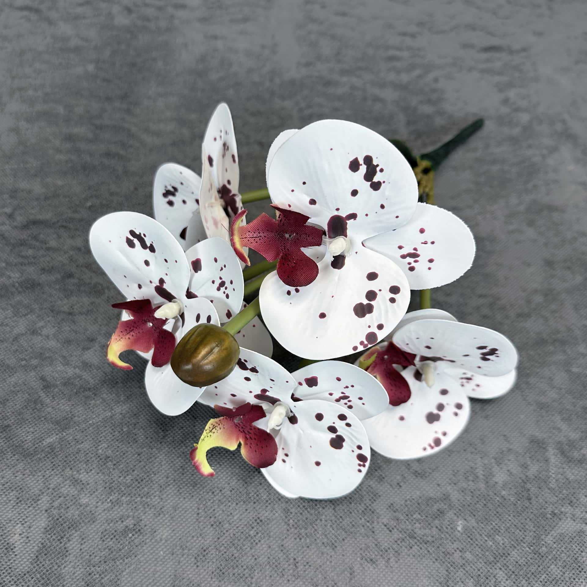 Simulación de impresión 3D orquídea mariposa en maceta decoración de la sala de estar accesorios adornos de flores falsas transfronterizas al por mayor