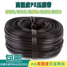 农用温室大棚压膜绳子高强度黑色PE压膜带子高韧性扁平塑料托膜带