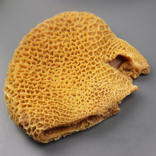 仿真牛肚猪肚牛肉猪肉羊肉三文鱼身假菜仿真北极贝刺身拼盘模型