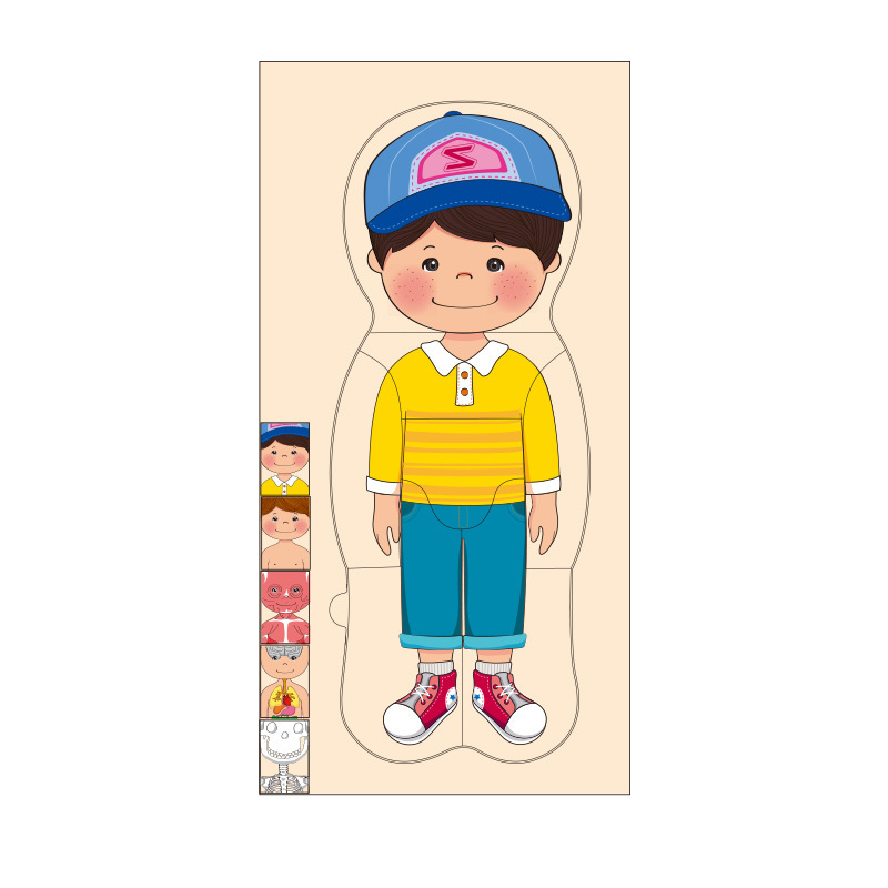 Ilustración científica de los niños estructura del cuerpo humano rompecabezas órgano anatomía hueso cognición educación temprana cuerpo vísceras rompecabezas juguete