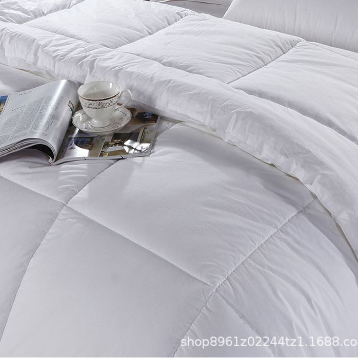 Wholesale Hotel Bedding Set with Thick Comforter, Spring and Autumn Air-Conditioned Winter Quilt, All-S Seasons Fleece Cover