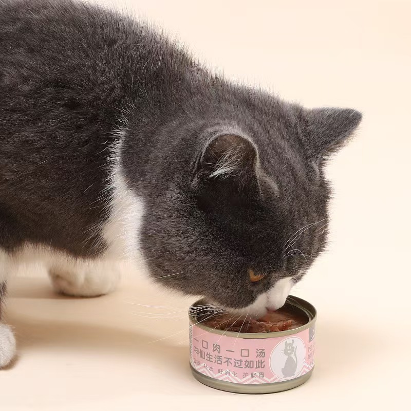 Pala para arena de gatos 2 en 1 con malla fina para arena mineral y tofu, herramienta de limpieza grande para mascotas.