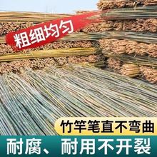 ��U�ˈ@��ܗU�����S�����t��֧�ܗU�������ӳ�Ӳֲ��������U