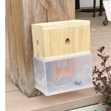 羳վ۷䲶׽@aľ|׽_P׽۷