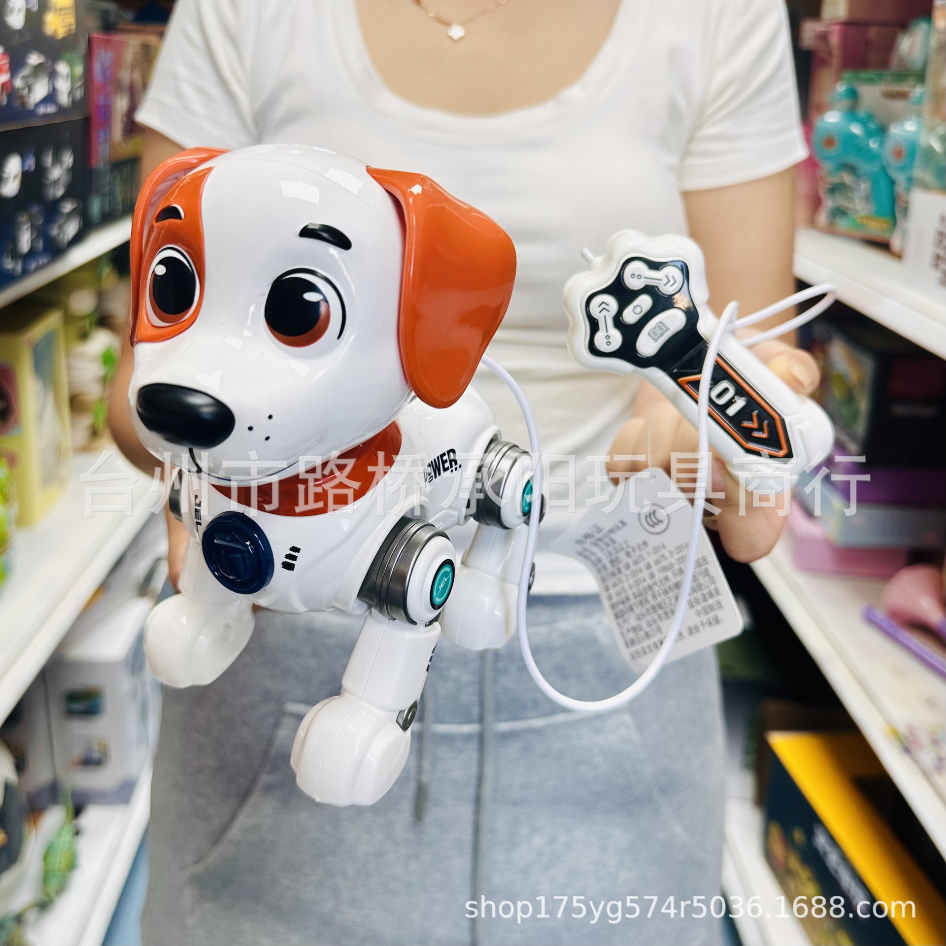 0646a electric leash dog walking toy (random style shipped)