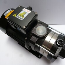 WALRUS  �C��������s�� TPH2T6K