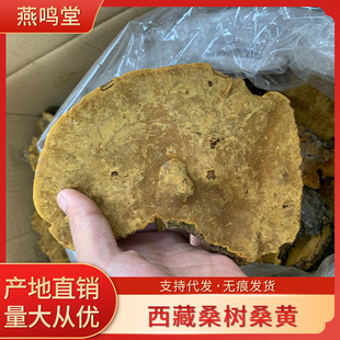 ���Q�� ����ɣ��ɣ�S500��ɣ���S�`֥�a��؛Դ��߅�׾��`֥�д���