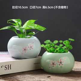 迷你陶瓷小圆球水培盆室内绿植容器桌面装饰花盆多肉水养花盆直销