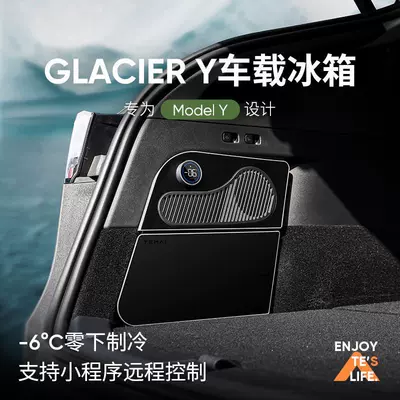 Soyuducular Special Car-Mounted Refrigerator with Compressor