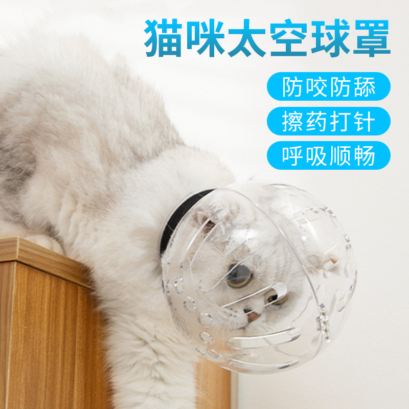 Cubierta de cabeza anti-mordedura para gatos cuidadosamente seleccionada Cubierta de cabeza espacial anti-lamer para perros y perros pequeños Suministros para mascotas Elizabeth al por mayor