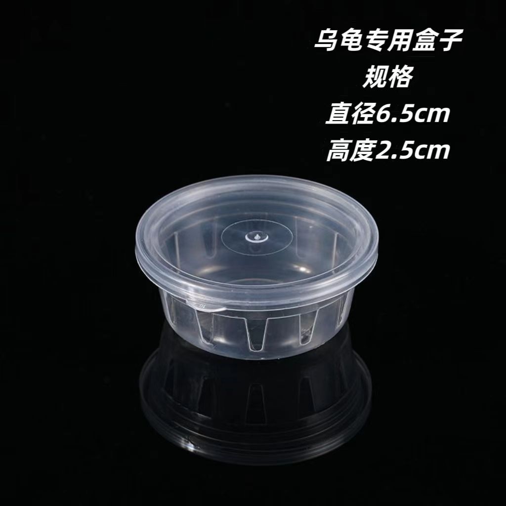 브라질거북 전용 상자 [10개입]