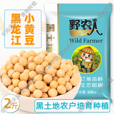 Farm Soy Soybean Milk Dedicated Soybean tradition plant Soy Manufactor Straight hair support On behalf of 2