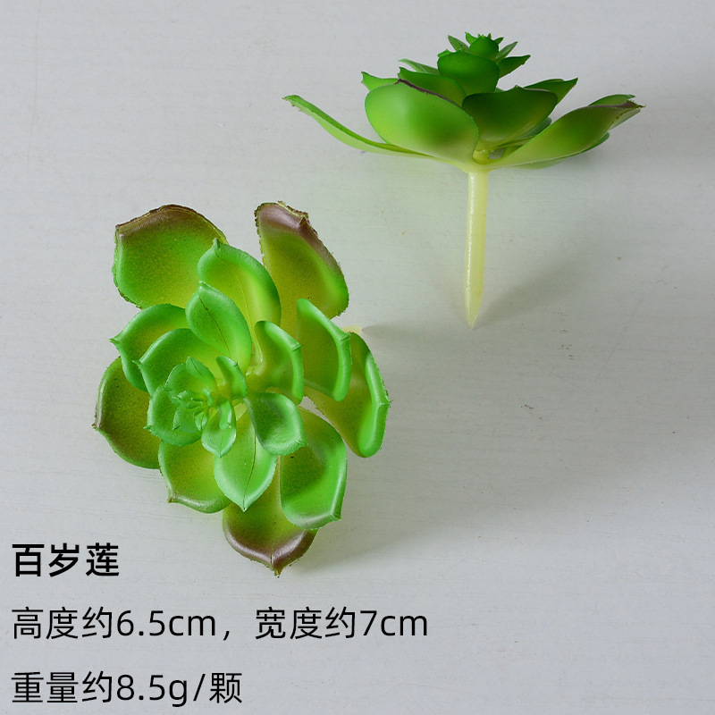 严选仿真多肉植物盆景植绒迷你假多肉配件插花绿植墙DIY装饰摆件|undefined