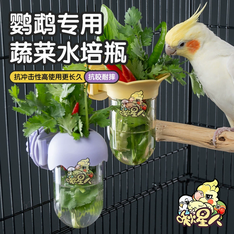 Гидропонная бутылка для попугая, овощи, бобовые, бутылка для консервации фруктов, черный феникс, монах, пион, цветочная композиция, кормушка для хранения воды