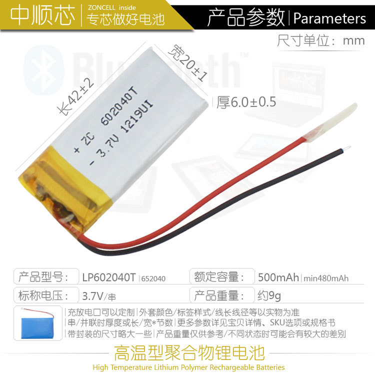 LP602040T500b4.jpg
