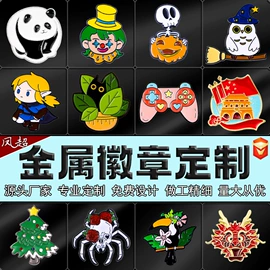 胸针;冰箱贴;耳钉