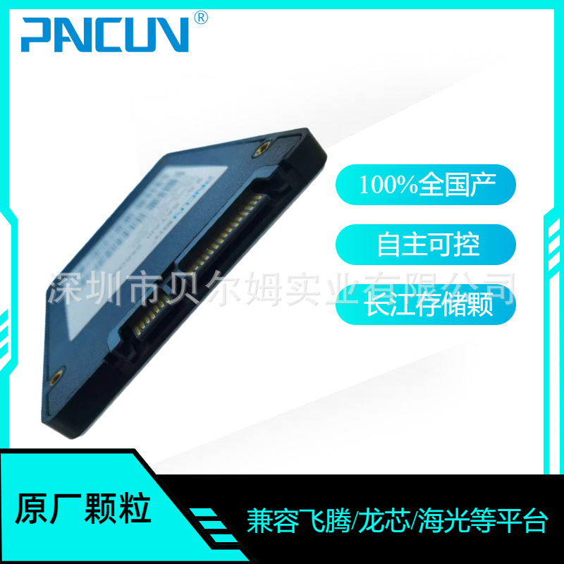Pencun All-Esticide Solid State Drive Sata3 Ssd Yangtze Storage 2.5Inch 512B Independently Controllable