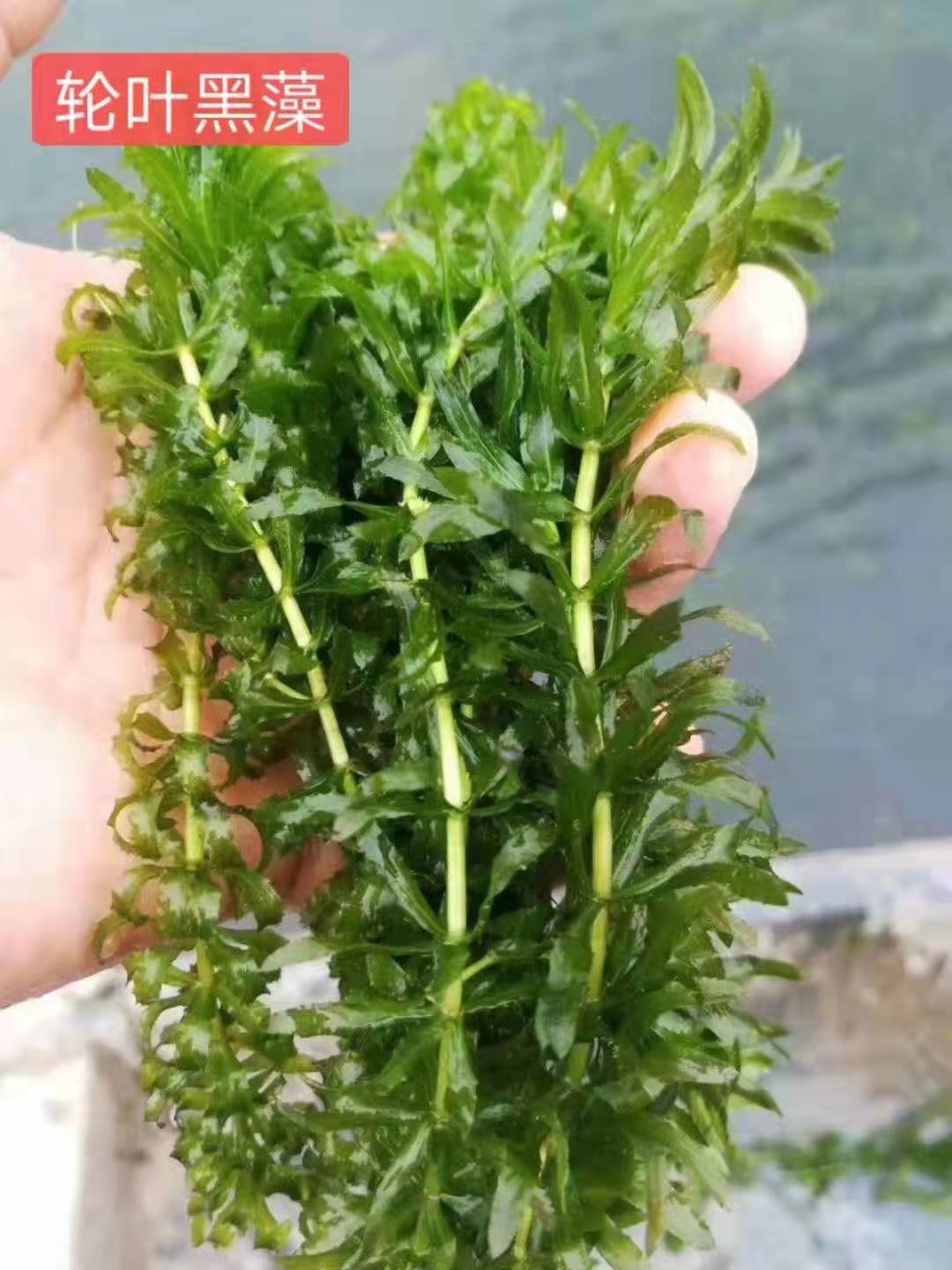 微信图片_202101241147236