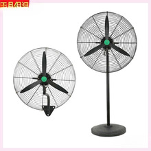 ��L�����~Ƭ������~�~Ƭ���L���~���I�L�����~ţ���ȴ�ȫ�Tؐ��