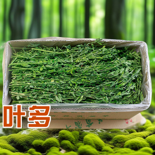 23 New Alfalfa Dry Feed Young Rabbit Totoro Dutch Pig Food Pastoral Rabbit Food