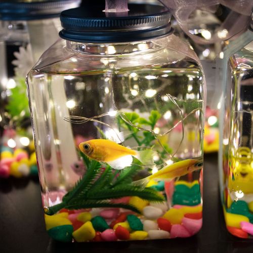 Internet-famous glowing jar, fish bottle, park night market stall—glowing fish bottles, tiny luminous fish jars, turtle-shaped bottles, and illuminated plastic jars turned into turtle tanks.