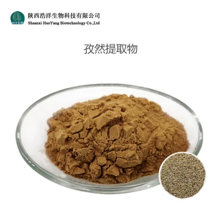 孜然提取物10：1 小茴香提取物 水溶性孜然粉 现货直供 品质稳定