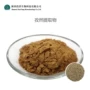 品质水溶性稳定孜然提取物