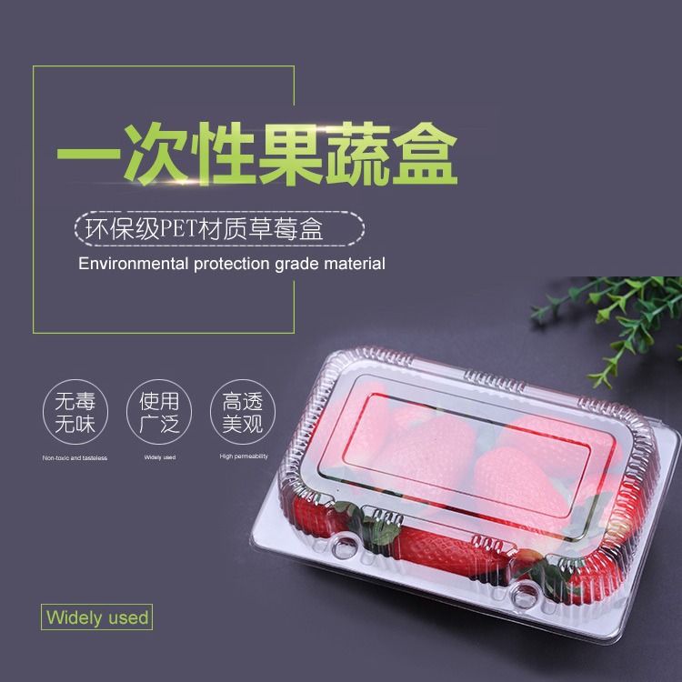 一次性透明草莓包装野餐水果果蔬盒保鲜果切包装外卖盒001（005）