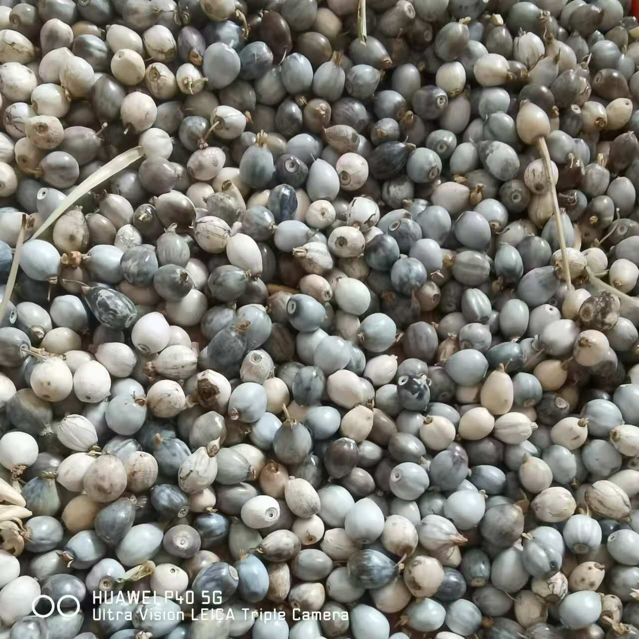 71f5ac7b44a23eb436afd22364fbd4