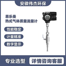 EM9700ʽw|ӋʽӋengelmannܵʽ