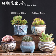 Cacti Pot Ceramic Bubble Planter Plant Terracotta Retro Zisha Creative Size Simple Living Room