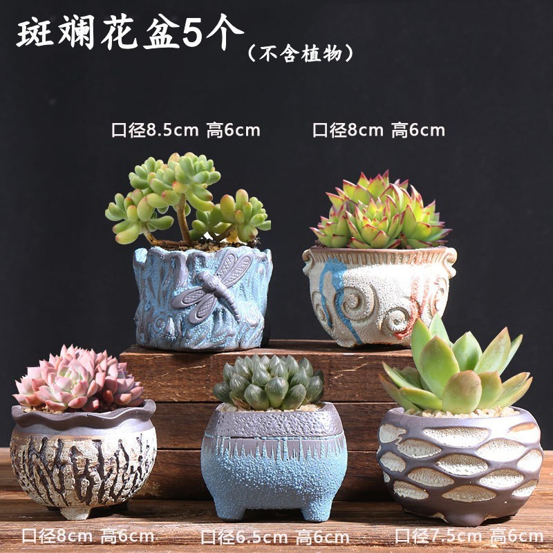 Succulent flower pot ceramic bubble pot plant stoneware vintage purple sand creative size simple living room clearance special offer