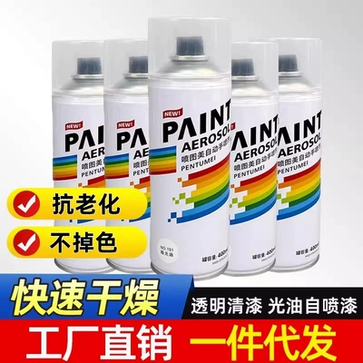 Furniture, Waterproof and Brightening Protective – Avtomobil boyası