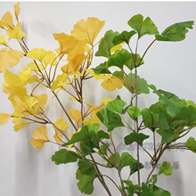 �����y���~ �L�U���w�y����@ ��ƿ�b廨�쾰��@ �^�z����