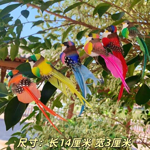 С�B�[��ͥԺ���Կ͏d�@���׃��@ë�bْ�����С�B��ɫС�B