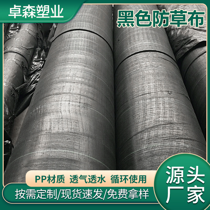 抗老化园艺地布PP防草布园林大棚土工布100g透气抑草布厂家现货