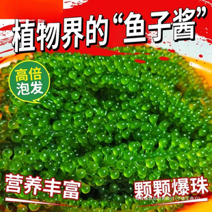 �����Ѽ�ʳ�}�n���������߲˾Gɫ�~���u�������ˉ�˾�̻��ʳ��