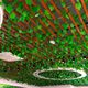 Simulation Rattan Fake Flower Grape Sweet Grape Vine Creeper Ivy Leaves Entwined Flower Vine Amazon Cross Border