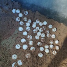 �����ܾ��ɷ����������{�������������������^�p�����B��С��
