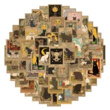 110��INS����divine���_�Ƅ���T�f�N���ľߕ�����ˮ�֎��N�����l