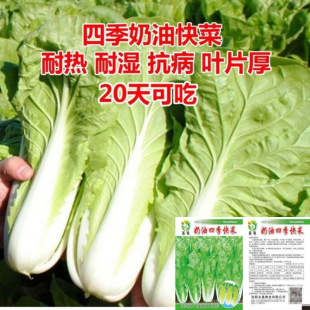 �S�����Ϳ�˷N��20��һ���ļ��̰ײ˿����ͺ������S�Ĵ����߲���