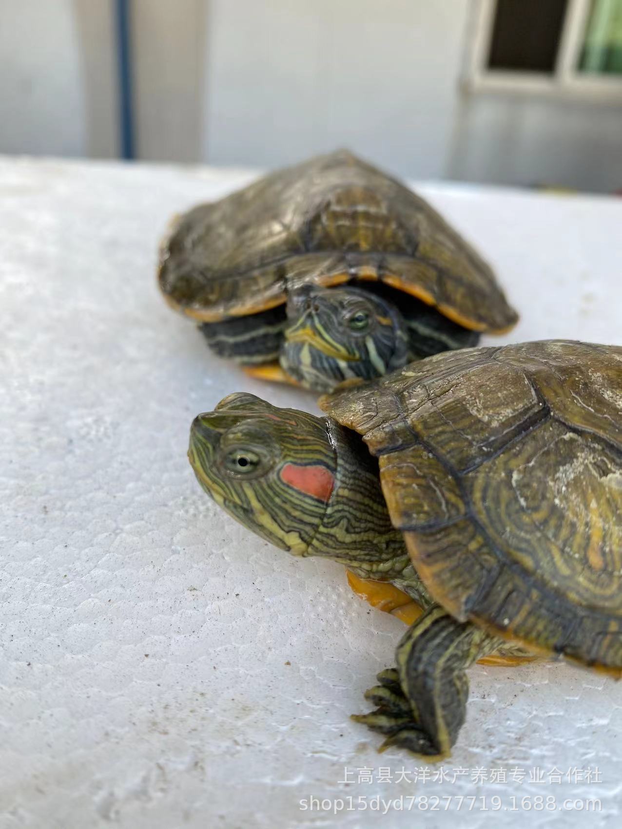 84aa33753c98ab544f829ac16ccc4d